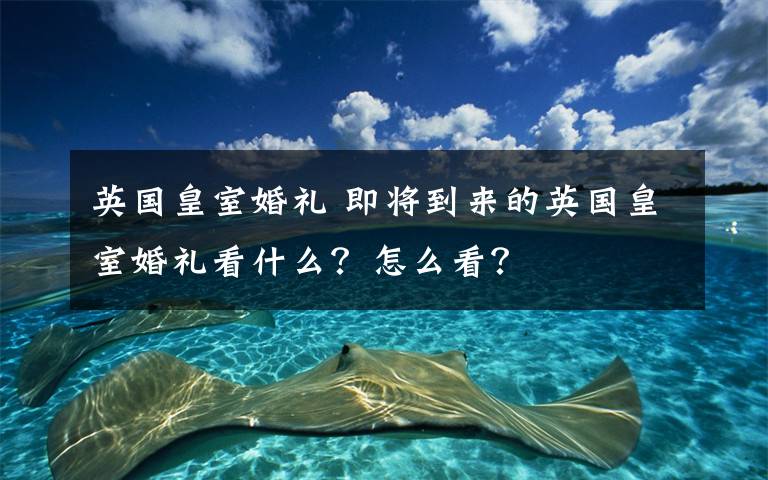 英國皇室婚禮 即將到來的英國皇室婚禮看什么？怎么看？