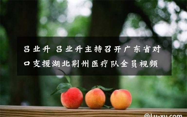 呂業(yè)升 呂業(yè)升主持召開廣東省對(duì)口支援湖北荊州醫(yī)療隊(duì)全員視頻會(huì)議 部署愛護(hù)醫(yī)護(hù)人員八條措施