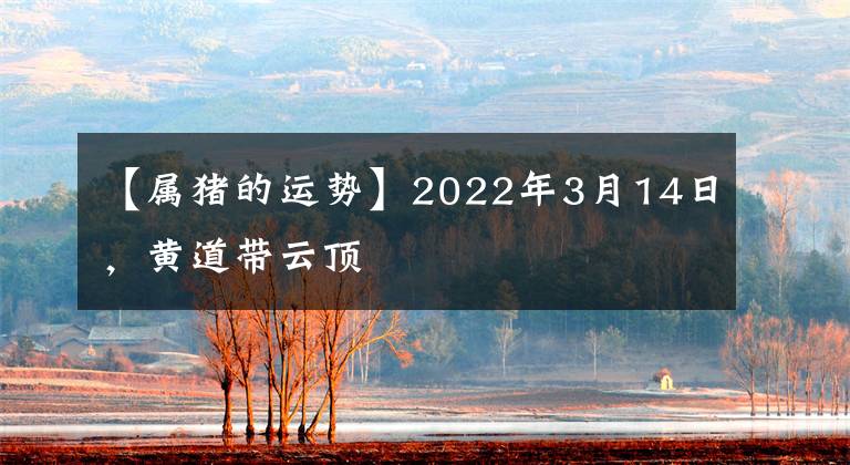 【屬豬的運(yùn)勢】2022年3月14日，黃道帶云頂