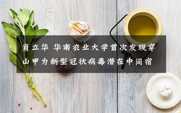 肖立華 華南農(nóng)業(yè)大學(xué)首次發(fā)現(xiàn)穿山甲為新型冠狀病毒潛在中間宿主