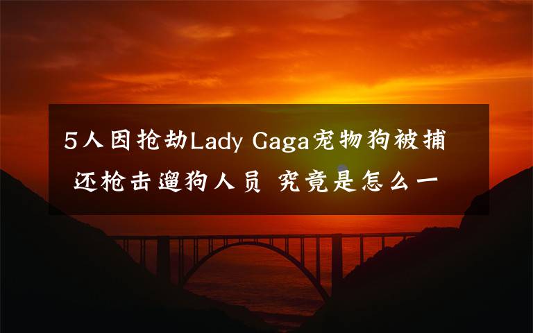 5人因搶劫Lady Gaga寵物狗被捕 還槍擊遛狗人員 究竟是怎么一回事?