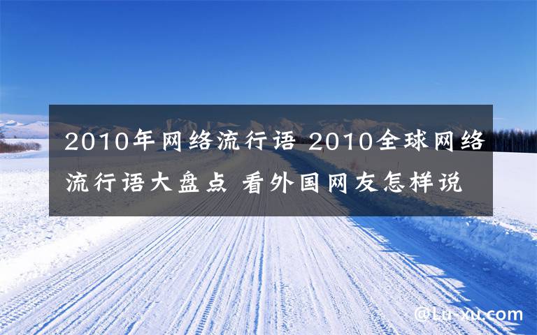 2010年網(wǎng)絡(luò)流行語 2010全球網(wǎng)絡(luò)流行語大盤點(diǎn) 看外國(guó)網(wǎng)友怎樣說給力