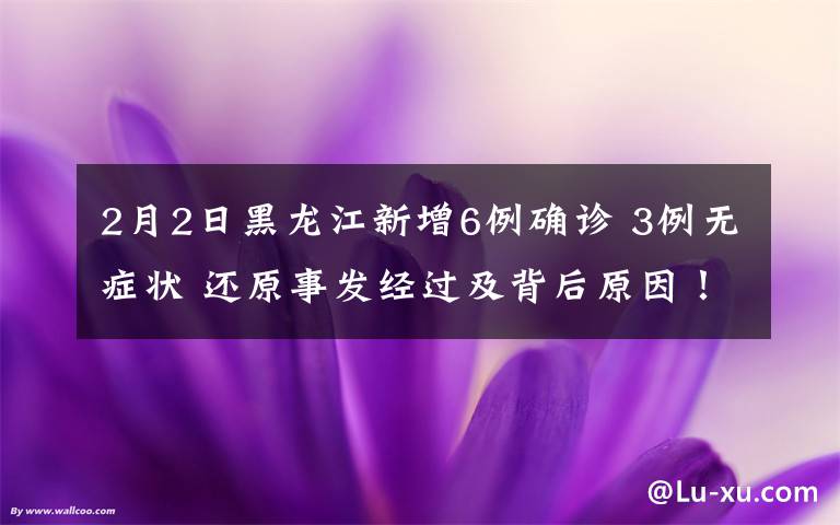 2月2日黑龍江新增6例確診 3例無癥狀 還原事發(fā)經(jīng)過及背后原因！