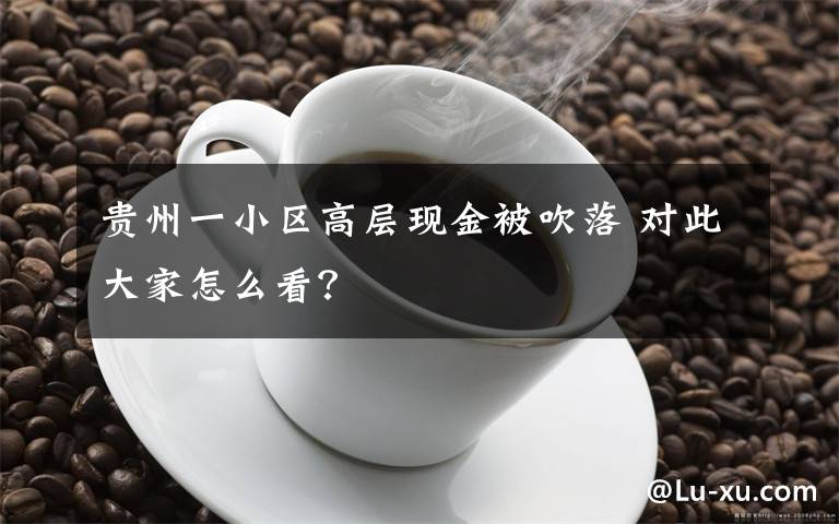 貴州一小區(qū)高層現(xiàn)金被吹落 對(duì)此大家怎么看？