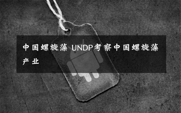 中國螺旋藻 UNDP考察中國螺旋藻產(chǎn)業(yè)