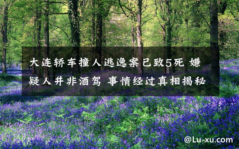 大連轎車撞人逃逸案已致5死 嫌疑人并非酒駕 事情經(jīng)過真相揭秘！