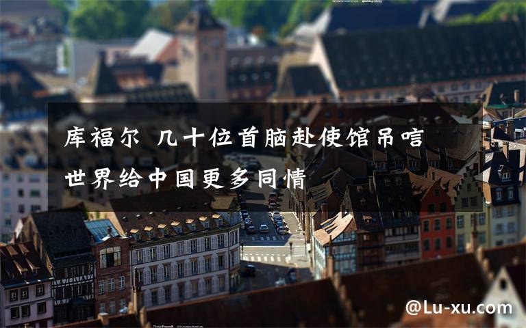 庫(kù)福爾 幾十位首腦赴使館吊唁 世界給中國(guó)更多同情