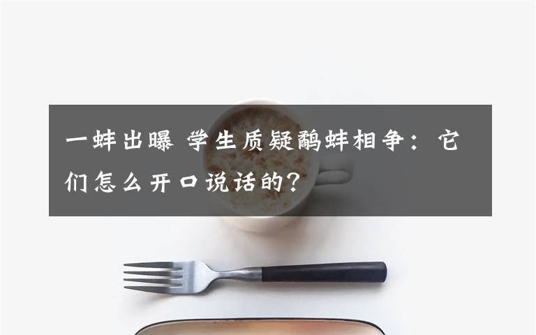 一蚌出曝 學(xué)生質(zhì)疑鷸蚌相爭：它們怎么開口說話的？