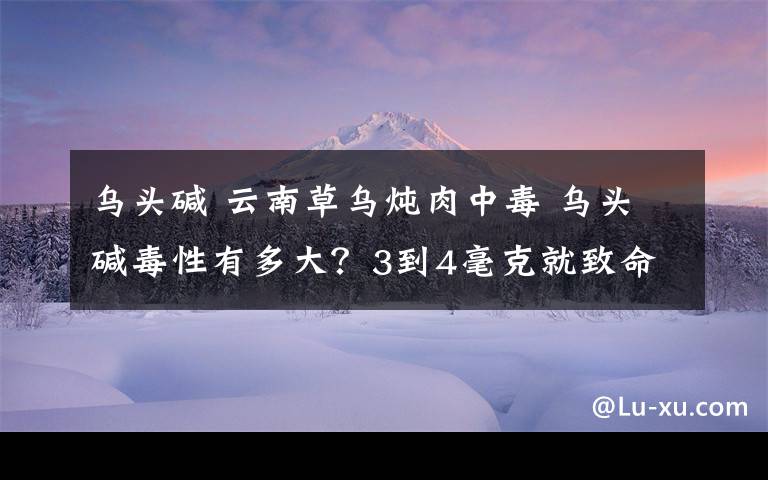 烏頭堿 云南草烏燉肉中毒 烏頭堿毒性有多大？3到4毫克就致命