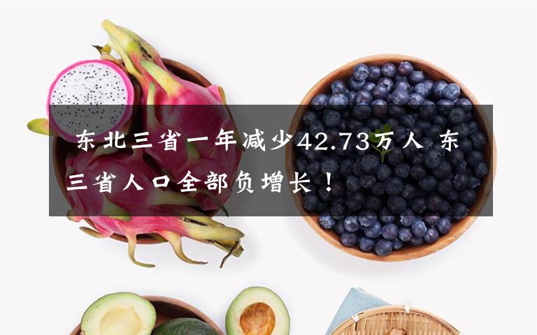  東北三省一年減少42.73萬(wàn)人 東三省人口全部負(fù)增長(zhǎng)！