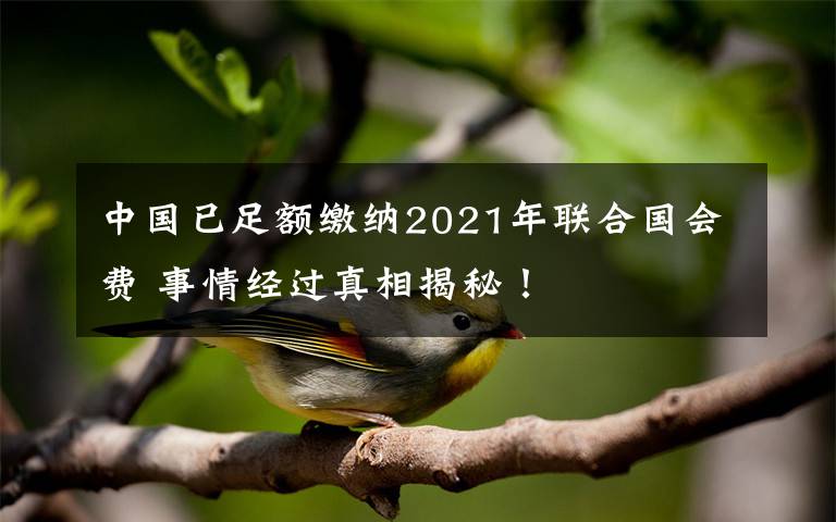 中國(guó)已足額繳納2021年聯(lián)合國(guó)會(huì)費(fèi) 事情經(jīng)過(guò)真相揭秘！