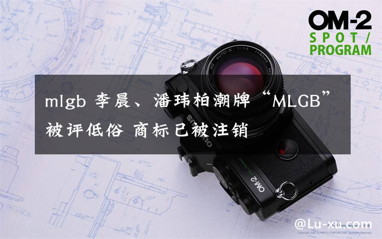 mlgb 李晨、潘瑋柏潮牌“MLGB”被評低俗 商標(biāo)已被注銷