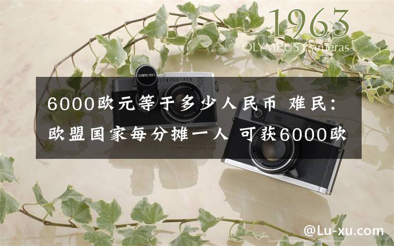 6000歐元等于多少人民幣 難民：歐盟國家每分?jǐn)傄蝗?可獲6000歐元補助