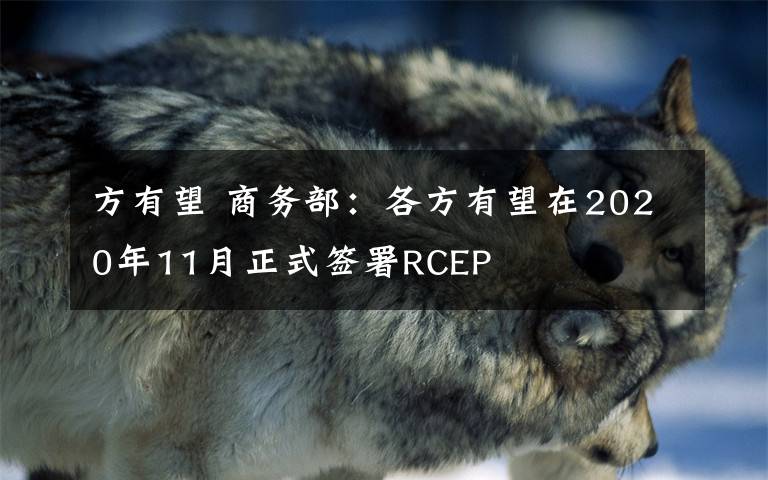 方有望 商務(wù)部：各方有望在2020年11月正式簽署RCEP