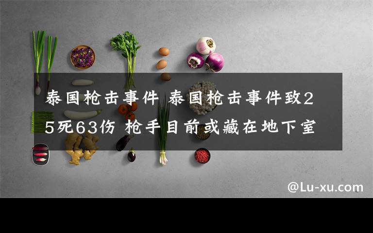 泰國槍擊事件 泰國槍擊事件致25死63傷 槍手目前或藏在地下室