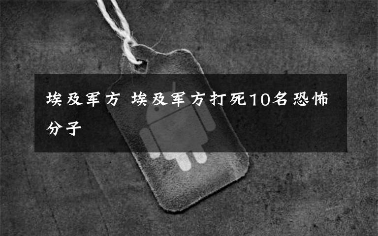 埃及軍方 埃及軍方打死10名恐怖分子