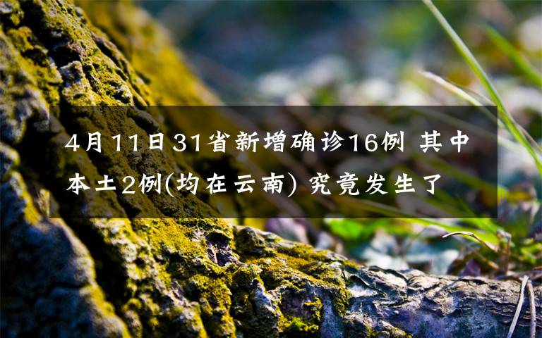 4月11日31省新增確診16例 其中本土2例(均在云南) 究竟發(fā)生了什么?