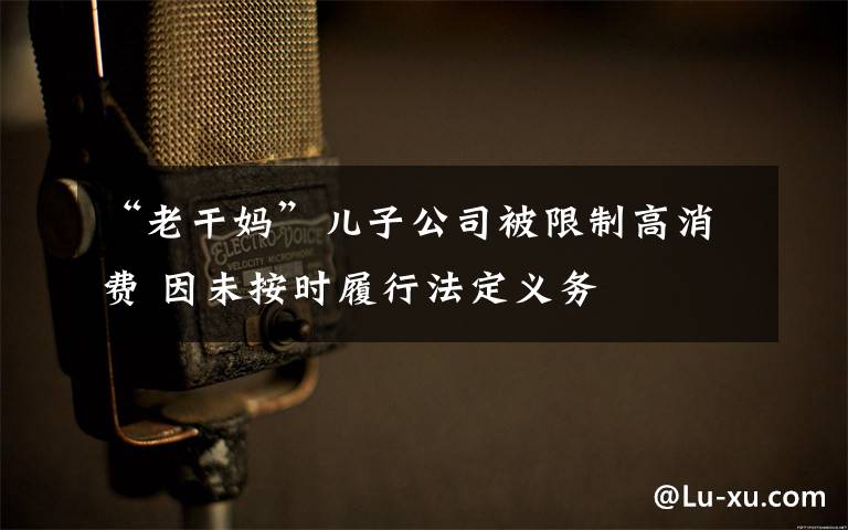 “老干媽”兒子公司被限制高消費(fèi) 因未按時(shí)履行法定義務(wù)