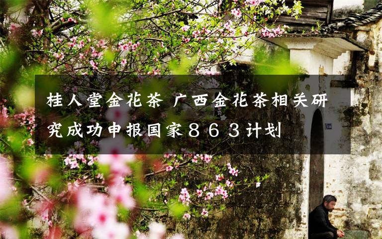 桂人堂金花茶 廣西金花茶相關研究成功申報國家８６３計劃