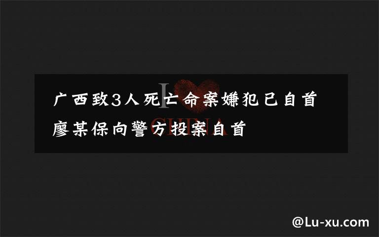  廣西致3人死亡命案嫌犯已自首 廖某保向警方投案自首