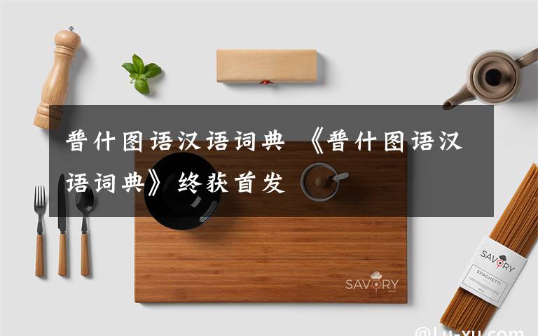 普什圖語(yǔ)漢語(yǔ)詞典 《普什圖語(yǔ)漢語(yǔ)詞典》終獲首發(fā)