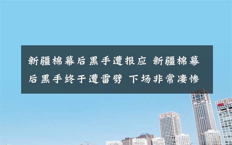 新疆棉幕后黑手遭報應(yīng) 新疆棉幕后黑手終于遭雷劈 下場非常凄慘