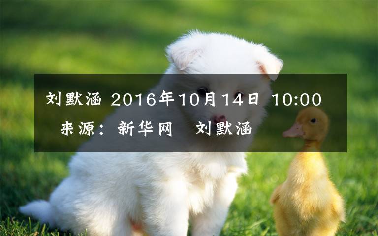 劉默涵 2016年10月14日 10:00   來源：新華網(wǎng)   劉默涵