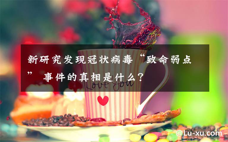 新研究發(fā)現(xiàn)冠狀病毒“致命弱點” 事件的真相是什么？