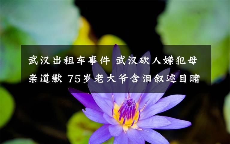 武漢出租車事件 武漢砍人嫌犯母親道歉 75歲老大爺含淚敘述目睹的事件全過程