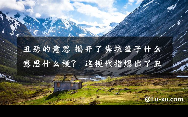 丑惡的意思 揭開了糞坑蓋子什么意思什么梗？ 這梗代指爆出了丑惡、惡心的事情或者人