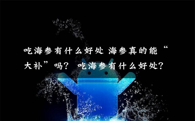 吃海參有什么好處 海參真的能“大補(bǔ)”嗎？ 吃海參有什么好處？