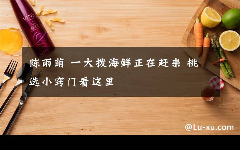 陳雨萌 一大撥海鮮正在趕來 挑選小竅門看這里