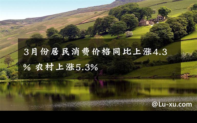 3月份居民消費價格同比上漲4.3% 農(nóng)村上漲5.3%