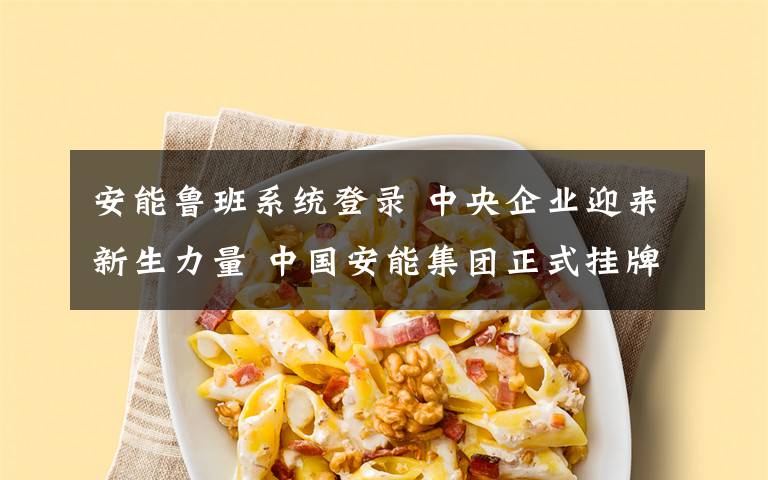 安能魯班系統(tǒng)登錄 中央企業(yè)迎來新生力量 中國安能集團(tuán)正式掛牌