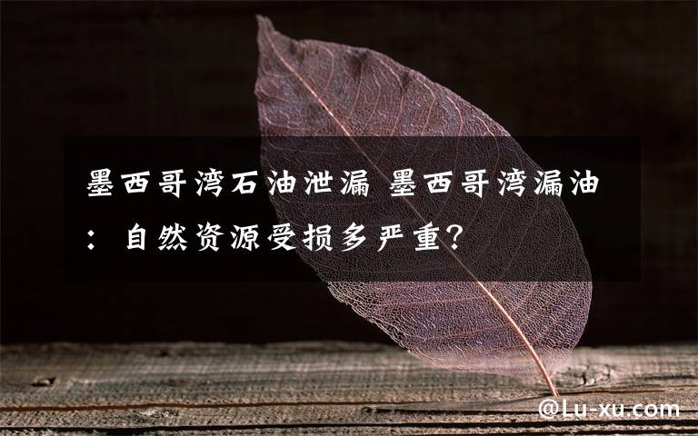 墨西哥灣石油泄漏 墨西哥灣漏油：自然資源受損多嚴(yán)重？