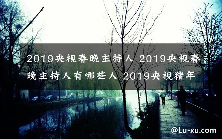 2019央視春晚主持人 2019央視春晚主持人有哪些人 2019央視豬年春晚主持陣容名單