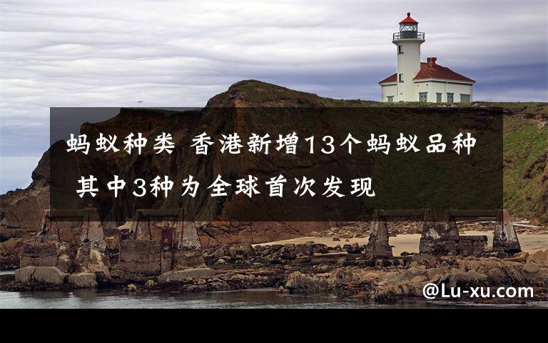 螞蟻種類 香港新增13個螞蟻品種 其中3種為全球首次發(fā)現(xiàn)