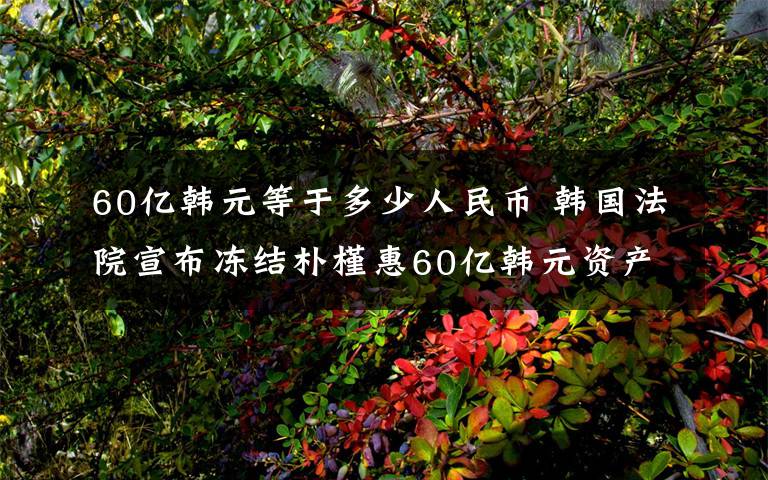 60億韓元等于多少人民幣 韓國(guó)法院宣布凍結(jié)樸槿惠60億韓元資產(chǎn)