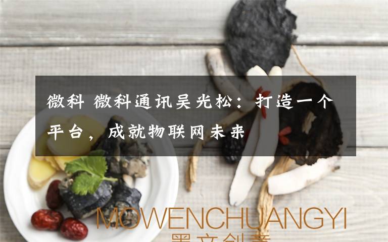 微科 微科通訊吳光松：打造一個平臺，成就物聯(lián)網(wǎng)未來