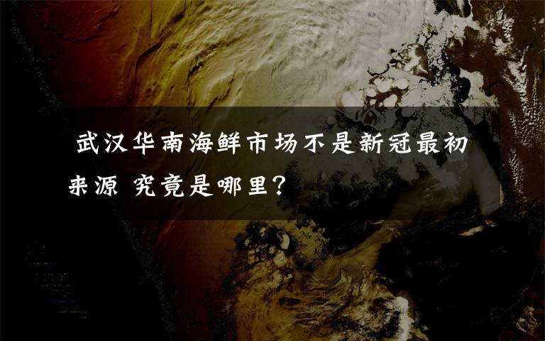  武漢華南海鮮市場(chǎng)不是新冠最初來源 究竟是哪里？