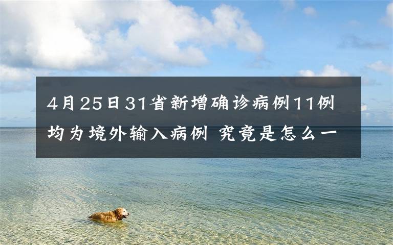 4月25日31省新增確診病例11例 均為境外輸入病例 究竟是怎么一回事?