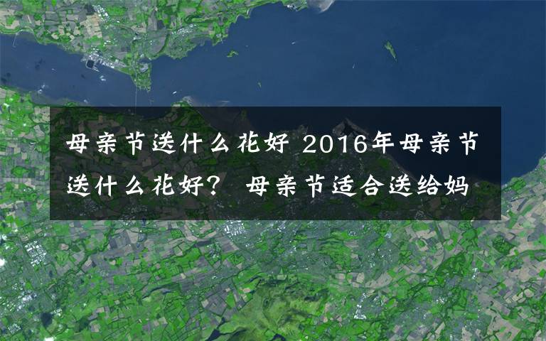 母親節(jié)送什么花好 2016年母親節(jié)送什么花好？ 母親節(jié)適合送給媽媽的鮮花及花語