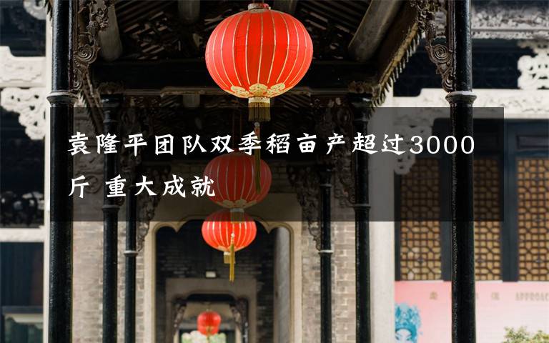 袁隆平團隊雙季稻畝產超過3000斤 重大成就