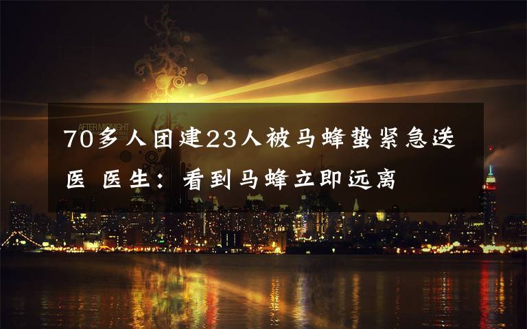 70多人團(tuán)建23人被馬蜂蟄緊急送醫(yī) 醫(yī)生：看到馬蜂立即遠(yuǎn)離