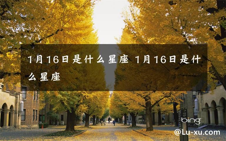 1月16日是什么星座 1月16日是什么星座