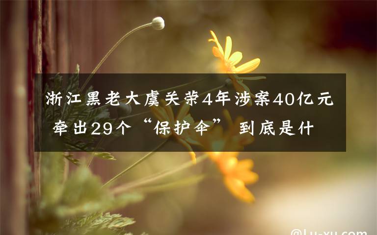 浙江黑老大虞關榮4年涉案40億元 牽出29個“保護傘” 到底是什么狀況？