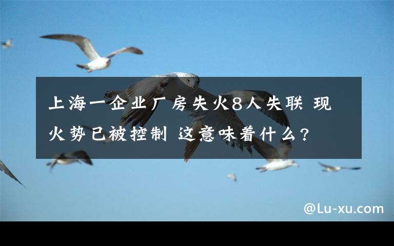 上海一企業(yè)廠房失火8人失聯(lián) 現(xiàn)火勢已被控制 這意味著什么?