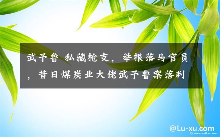 武予魯 私藏槍支，舉報落馬官員，昔日煤炭業(yè)大佬武予魯案落判