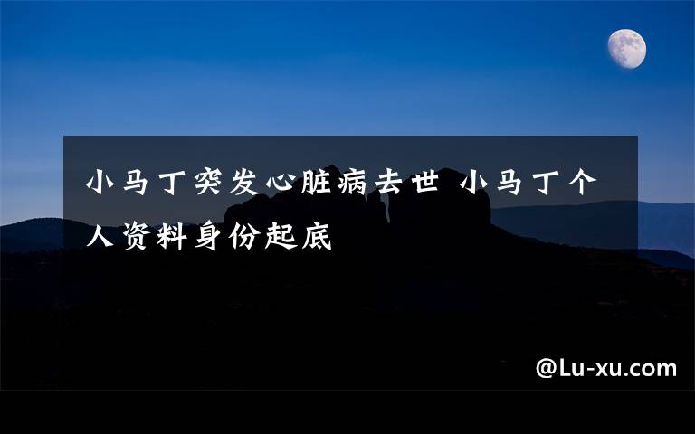 小馬丁突發(fā)心臟病去世 小馬丁個(gè)人資料身份起底