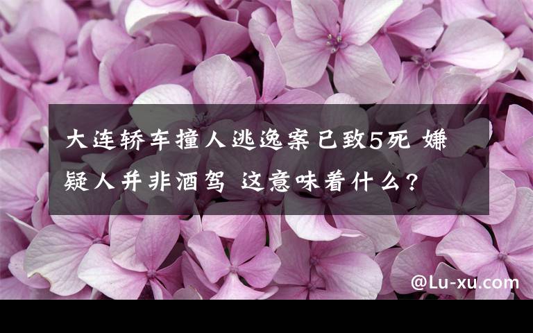 大連轎車撞人逃逸案已致5死 嫌疑人并非酒駕 這意味著什么?